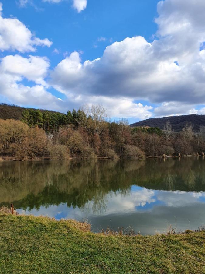 Gardenia Apartman Esztergom Buitenkant foto