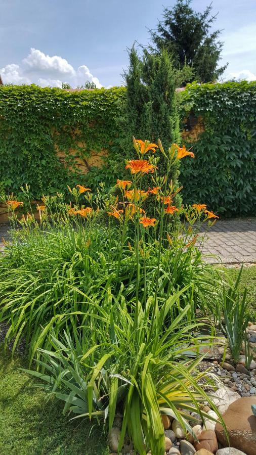 Gardenia Apartman Esztergom Buitenkant foto