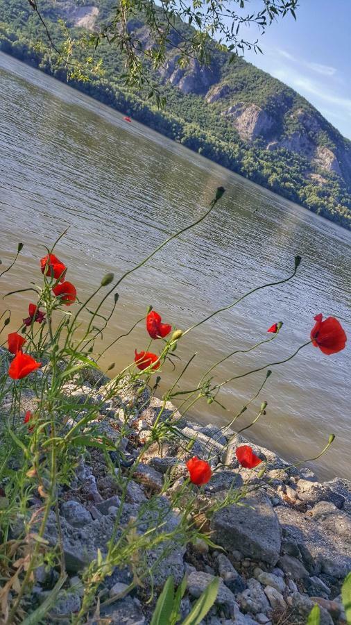 Gardenia Apartman Esztergom Buitenkant foto