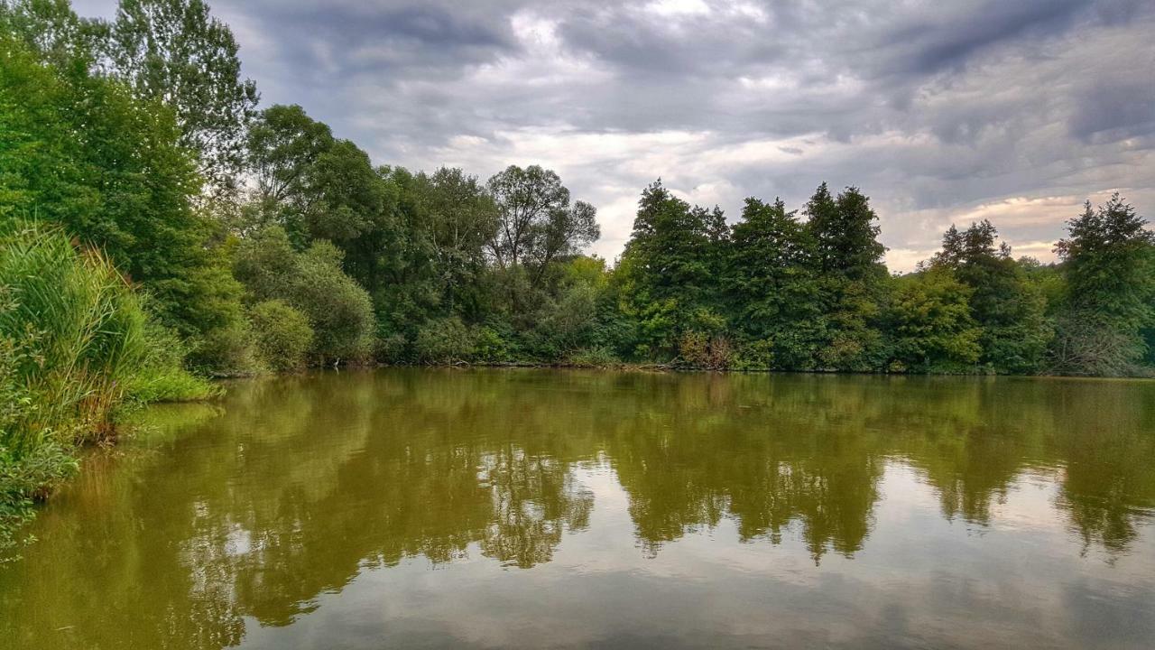 Gardenia Apartman Esztergom Buitenkant foto